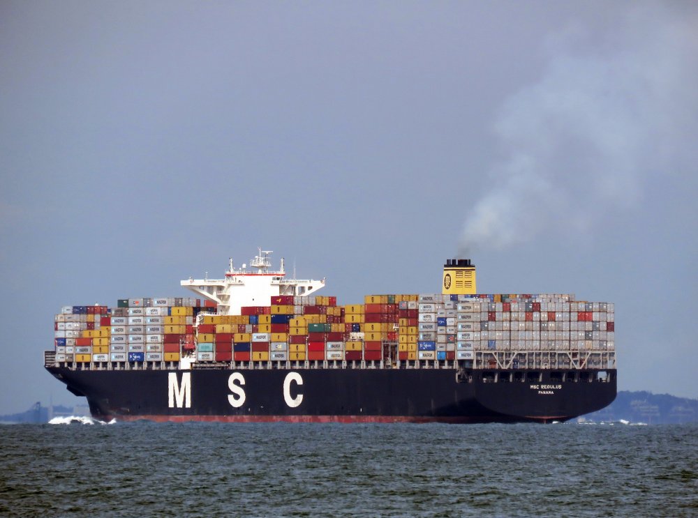 MSC Regulus