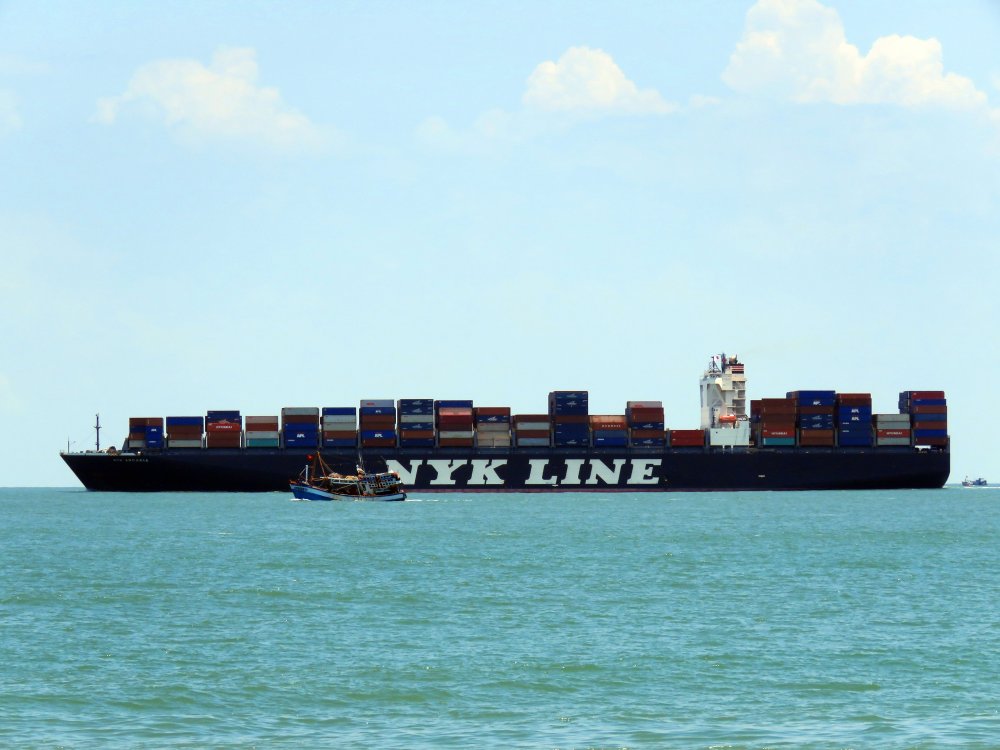 NYK Arcadia