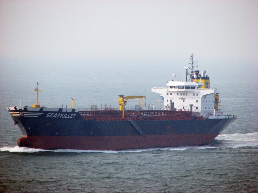 Seamullet