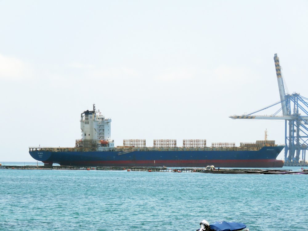TRF Partici, IMO 9419785, Call sign A8UF9, Gearless container ships, Photo #4 TRF Partici