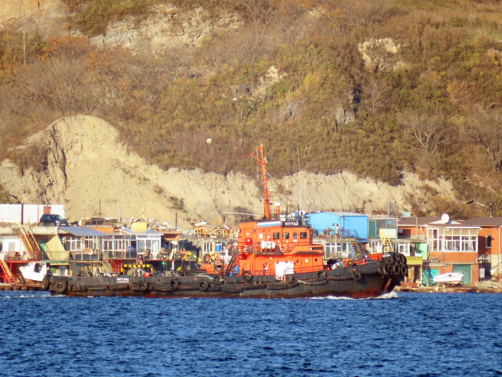 Vityaz