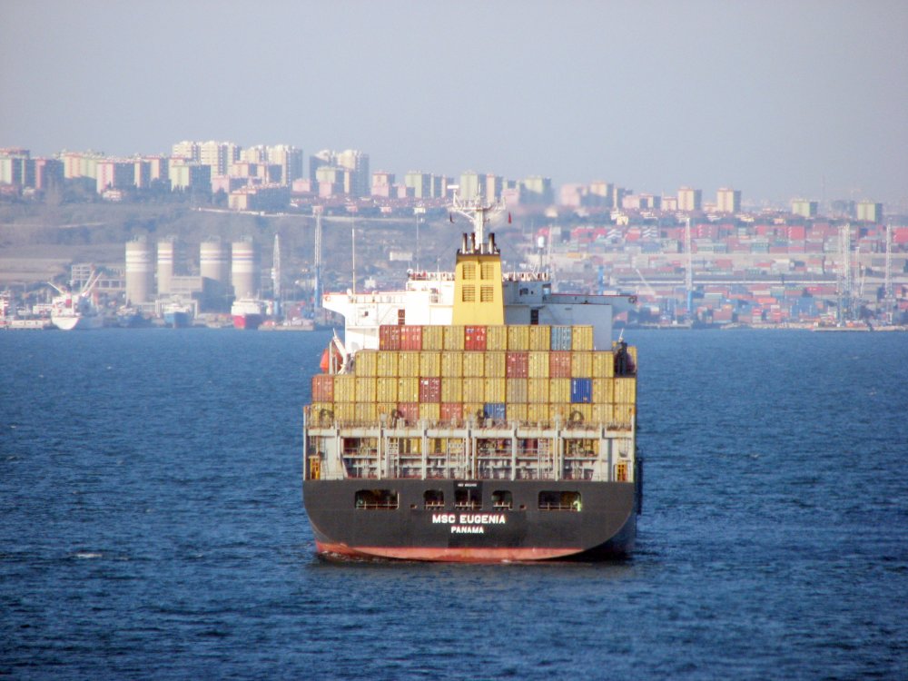 MSC Eugenia