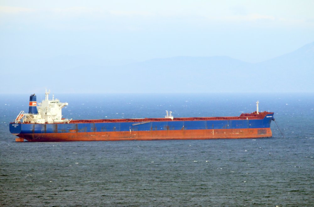 Blue McKinley
