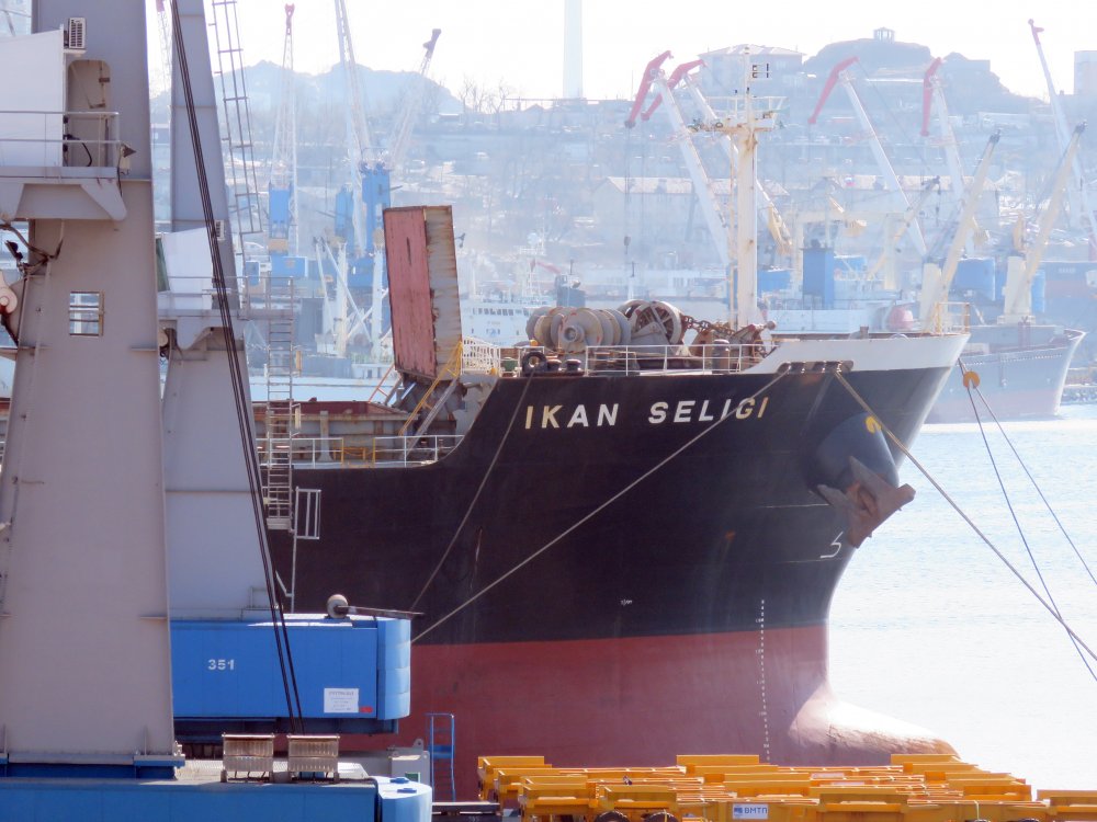 Ikan Seligi