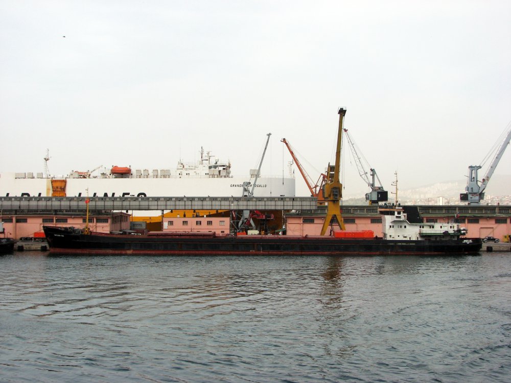 Omskiy-100
